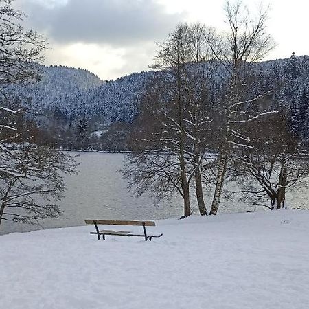 A 2 Pas Du Lac Lejlighed Xonrupt-Longemer Eksteriør billede