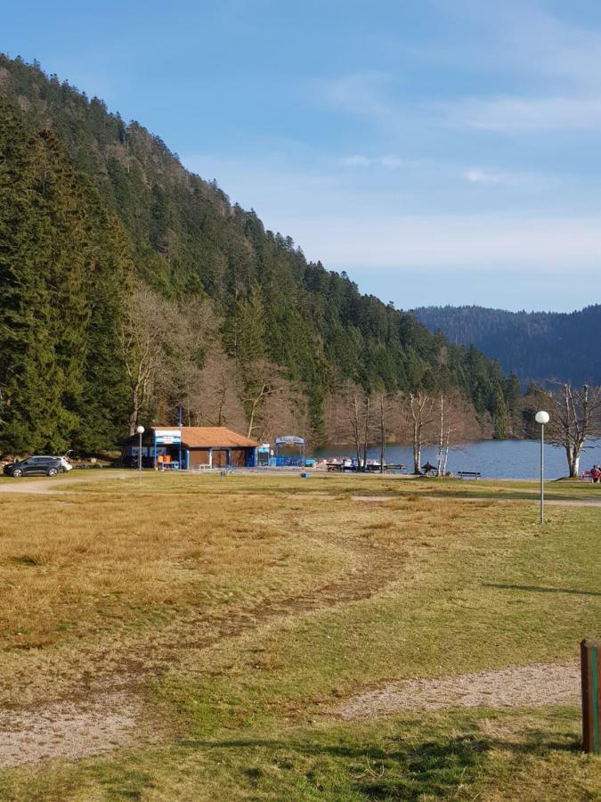 A 2 Pas Du Lac Lejlighed Xonrupt-Longemer Eksteriør billede