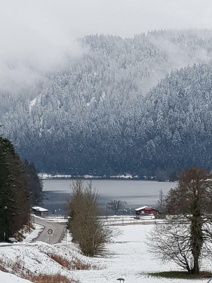 A 2 Pas Du Lac Lejlighed Xonrupt-Longemer Eksteriør billede