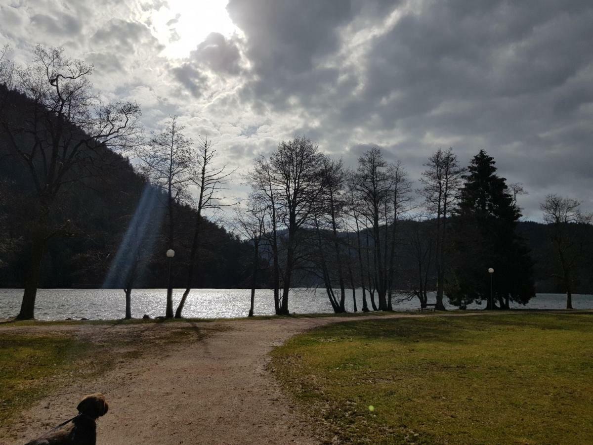 A 2 Pas Du Lac Lejlighed Xonrupt-Longemer Eksteriør billede