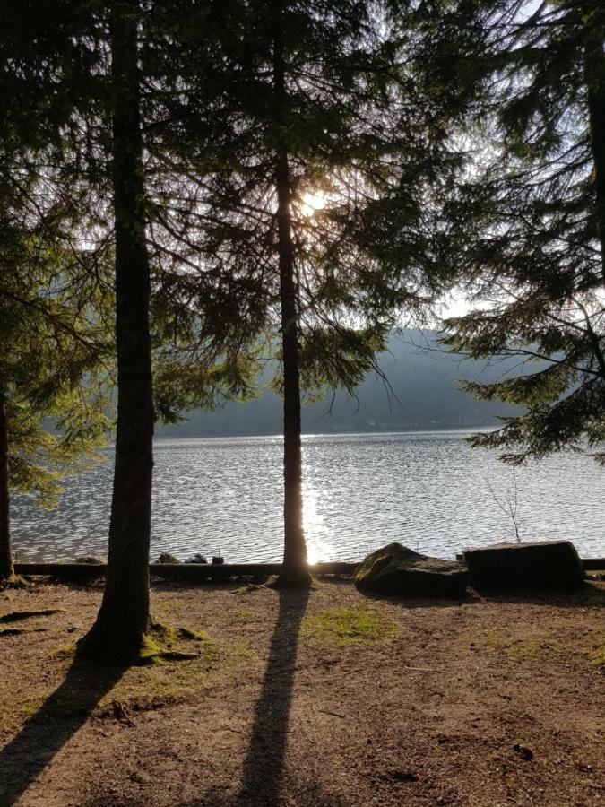 A 2 Pas Du Lac Lejlighed Xonrupt-Longemer Eksteriør billede
